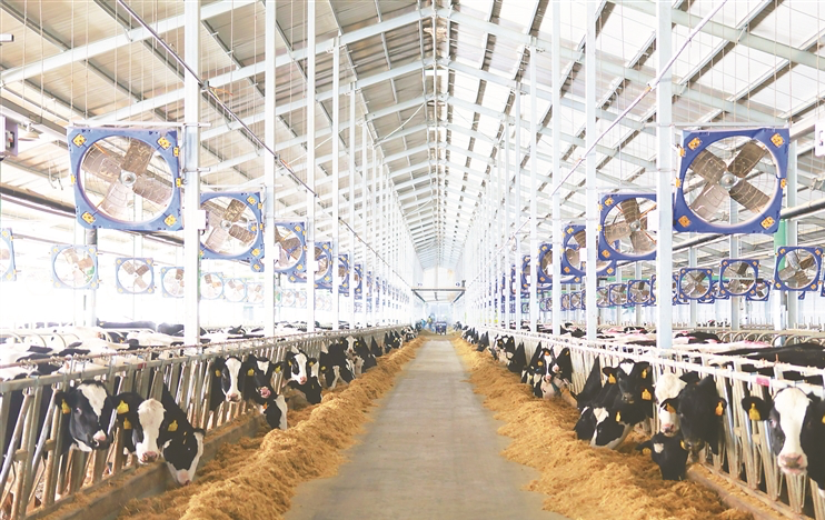 Mengniu standardized ranch construction project in Daqing Economic Development Zone