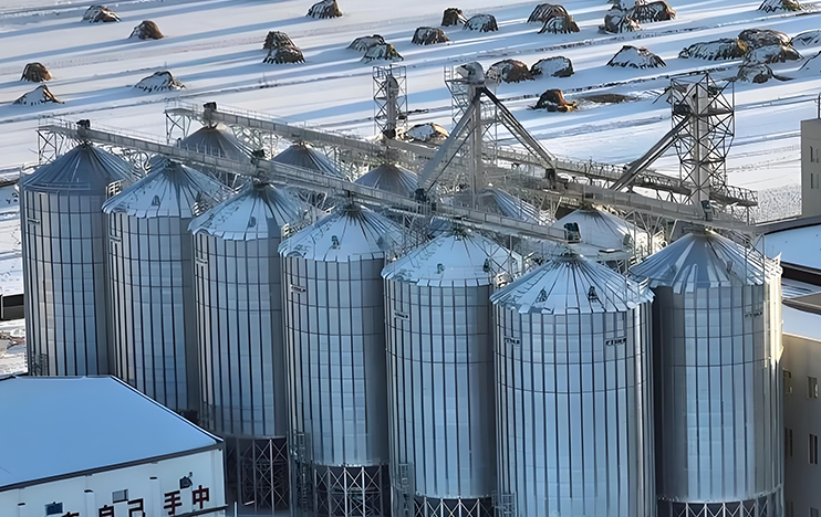 Beidahuang Group Shuangyashan Farm 30,000-ton Grain Storage Construction Project