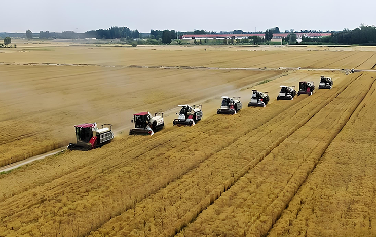 Heilongjiang Land Reclamation Jian San Jiang Grain Modern Logistics Project